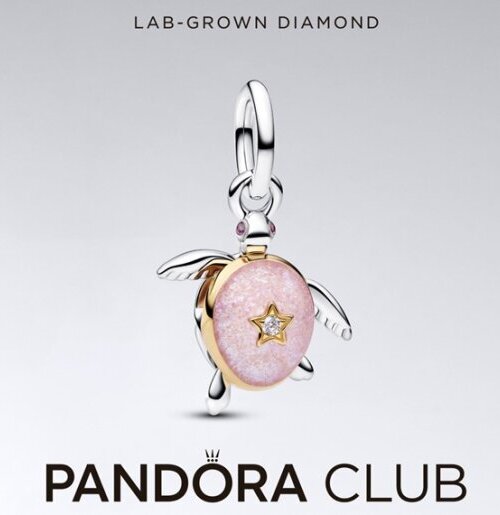 Нова година, нови приключения!