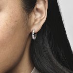Pandora Обеци Безценни мигове