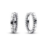 Pandora Обеци Безценни мигове