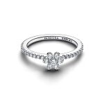 Pandora Пръстен Красотата на природата