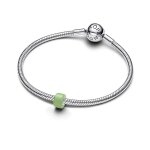Pandora Мини Талисман Малките моменти
