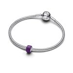 Pandora Мини Талисман Малките моменти