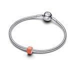Pandora Мини Талисман Малките моменти