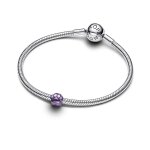 Pandora Мини Талисман Обич на четири лапи