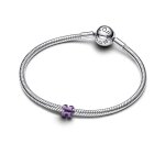 Pandora Мини Талисман Допълваш ме