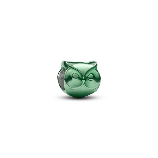Pandora Мини Талисман Знай и бъди