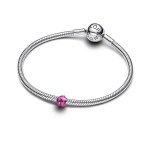 Pandora Мини Талисман Защита и късмет