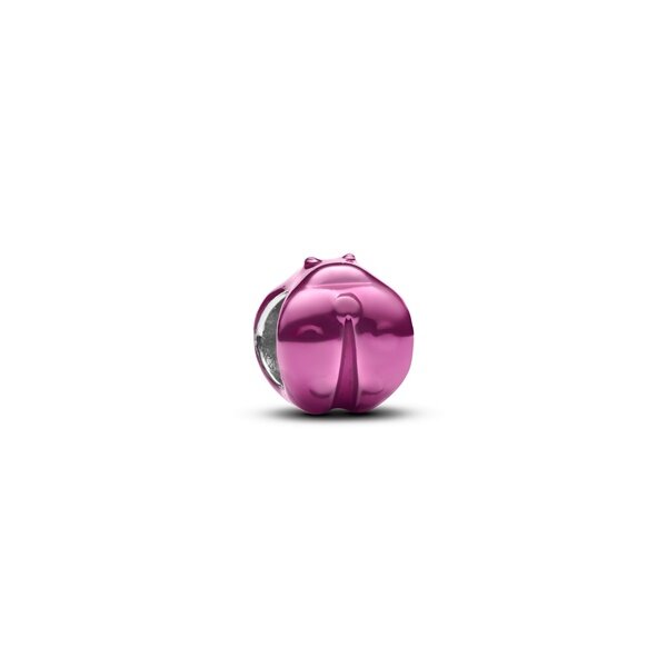 Pandora Мини Талисман Защита и късмет