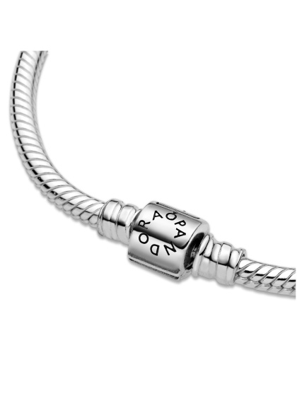 Pandora гривна Любими мигове