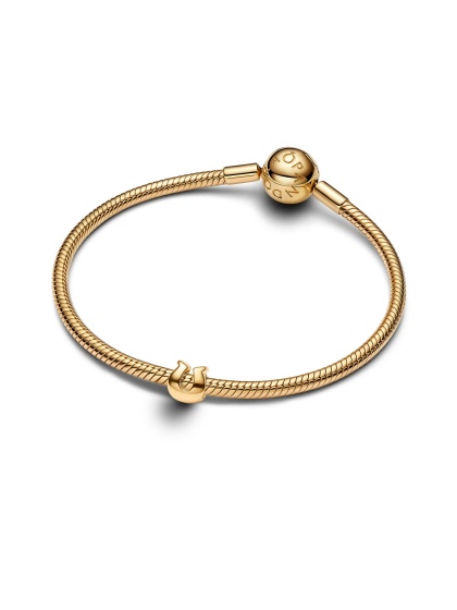 Pandora Мини Талисман Сбъдване