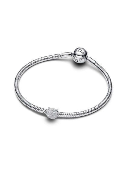 Pandora Мини Талисман Знай и бъди