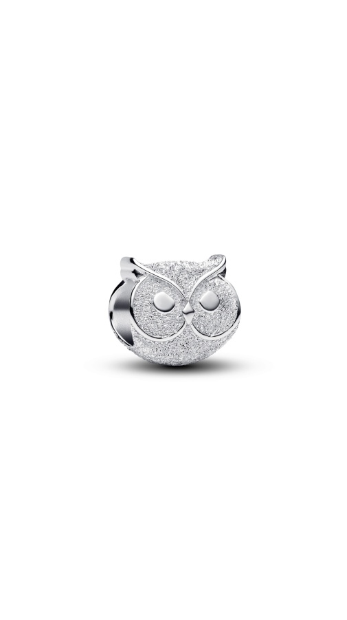 Pandora Мини Талисман Знай и бъди