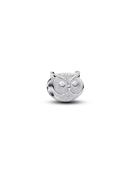 Pandora Мини Талисман Знай и бъди