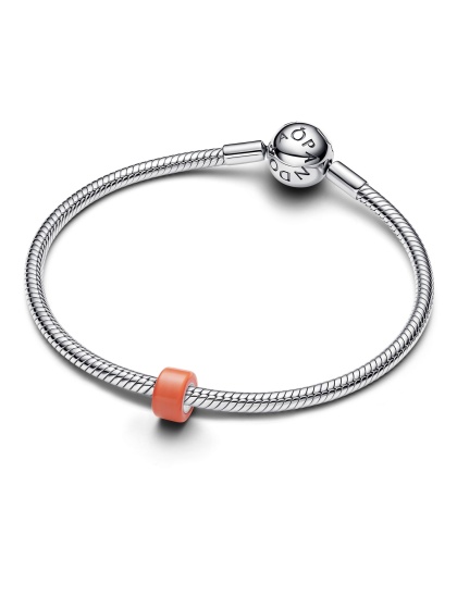 Pandora Мини Талисман Малките моменти