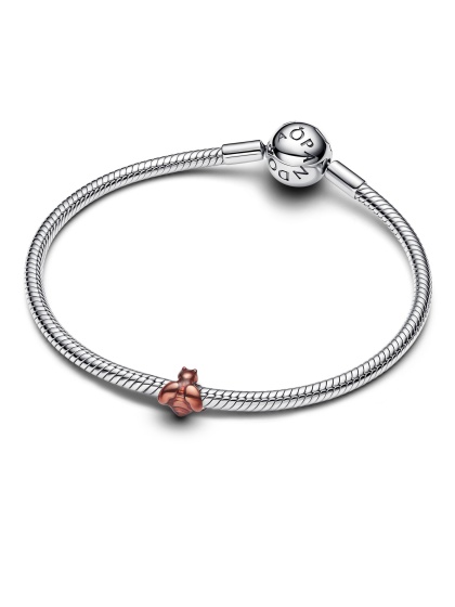 Pandora Мини Талисман Малка и незаменима