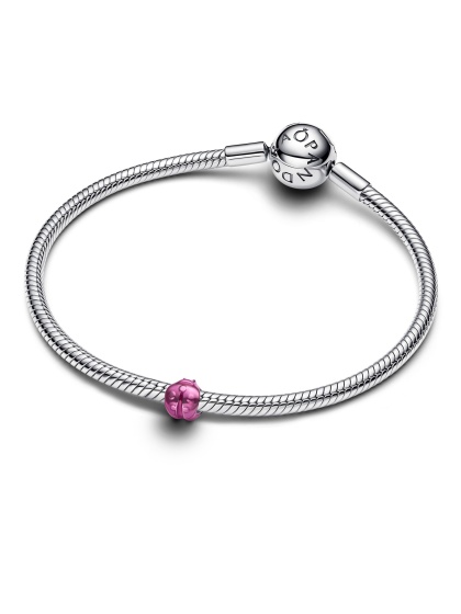 Pandora Мини Талисман Защита и късмет