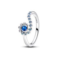 Pandora Timeless